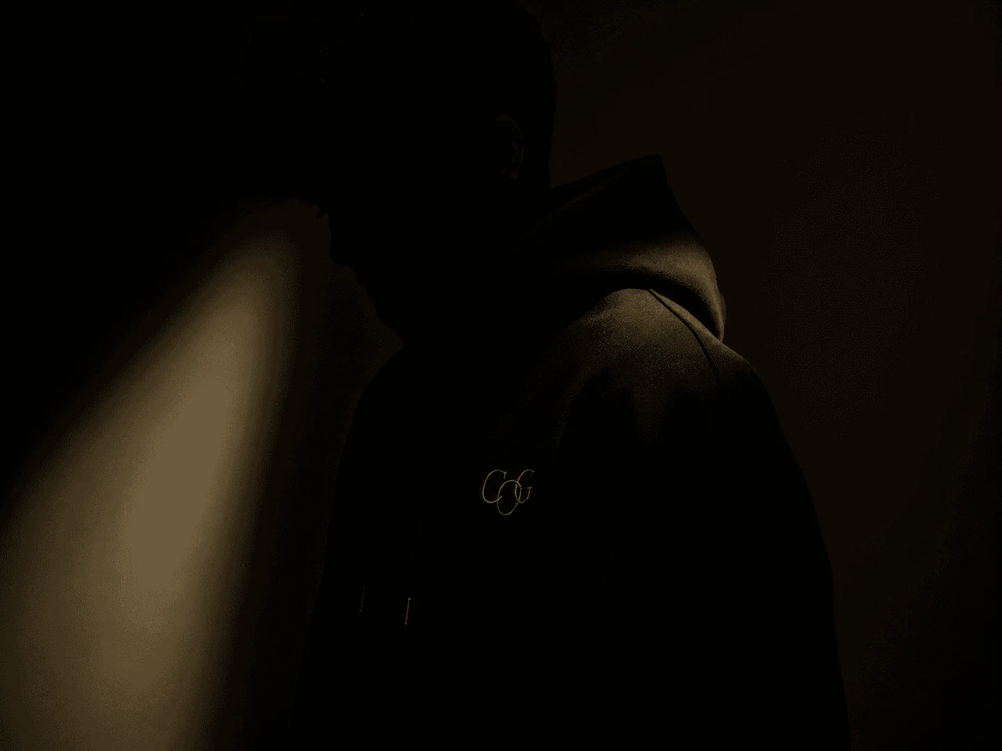 The Identity Hoodie in low light, with the COG monogram embroidered in gold on the chest